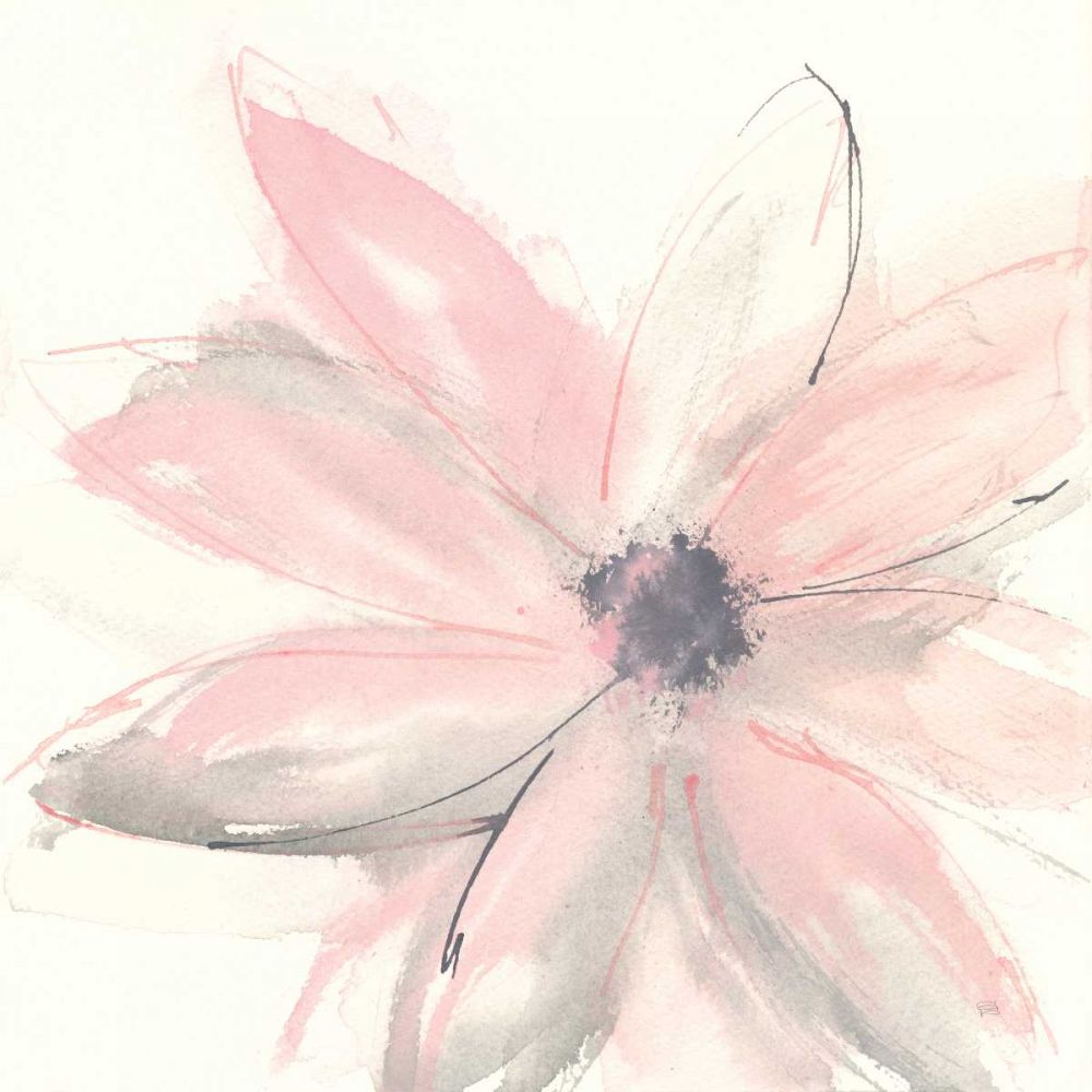 Blush Clematis I art print by Chris Paschke for $57.95 CAD