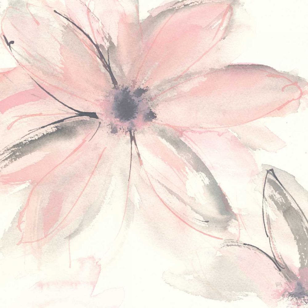 Blush Clematis II art print by Chris Paschke for $57.95 CAD
