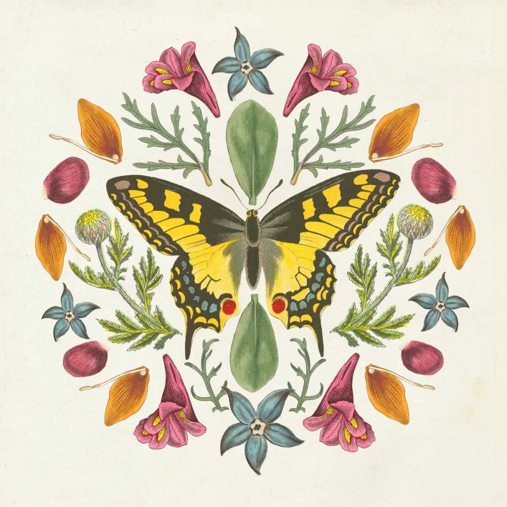 Butterfly Mandala III art print by Wild Apple Portfolio for $57.95 CAD