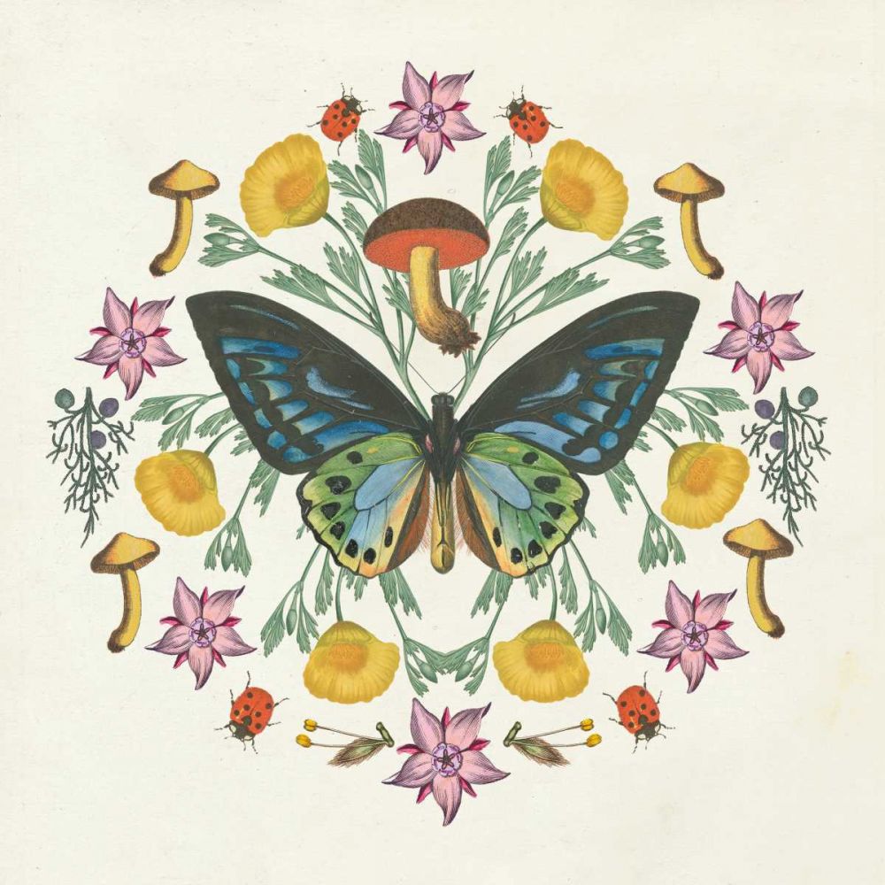 Butterfly Mandala IV art print by Wild Apple Portfolio for $57.95 CAD