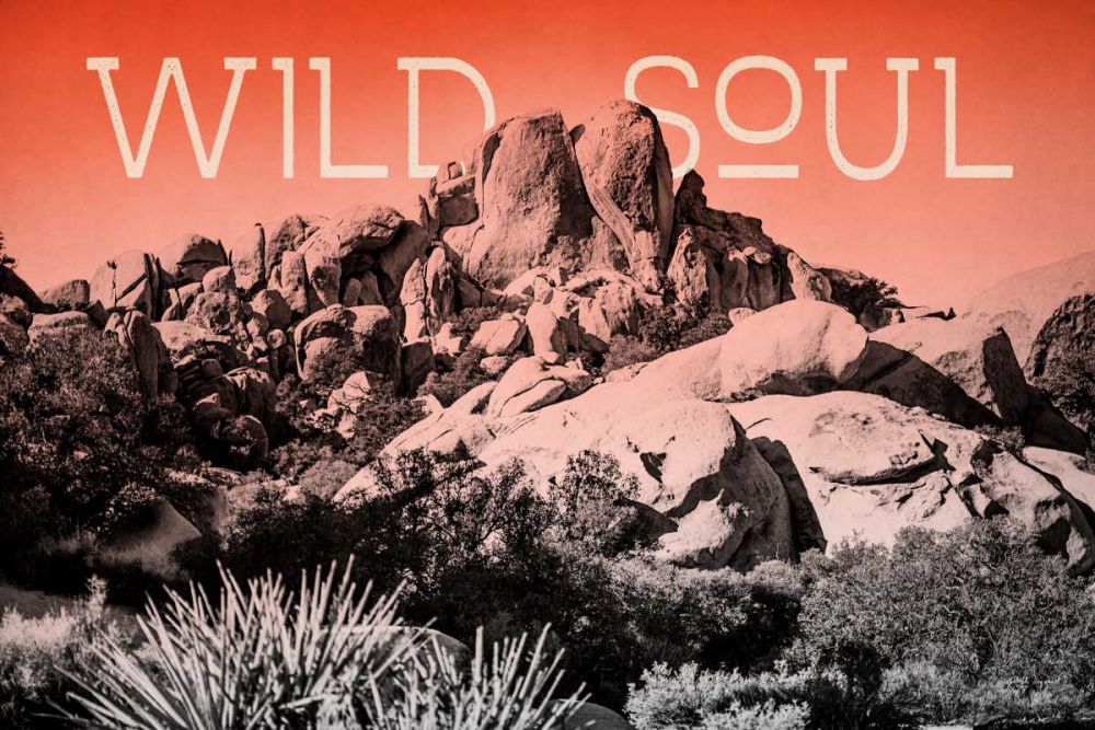 Ombre Adventure II Wild Soul art print by Elizabeth Urquhart for $57.95 CAD