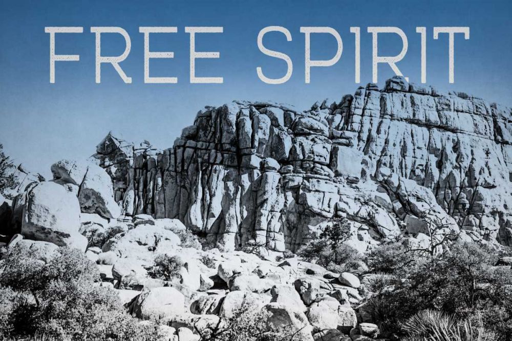 Ombre Adventure VI Free Spirit art print by Elizabeth Urquhart for $57.95 CAD