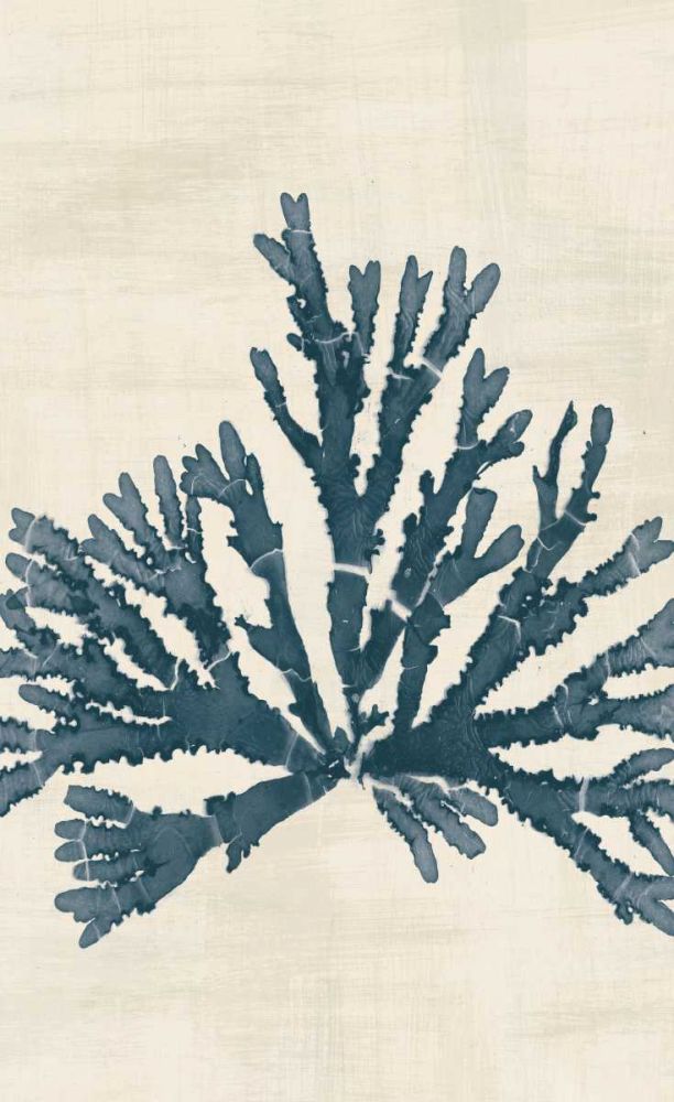 Pacific Sea Mosses IV No Map Crop art print by Wild Apple Portfolio for $57.95 CAD