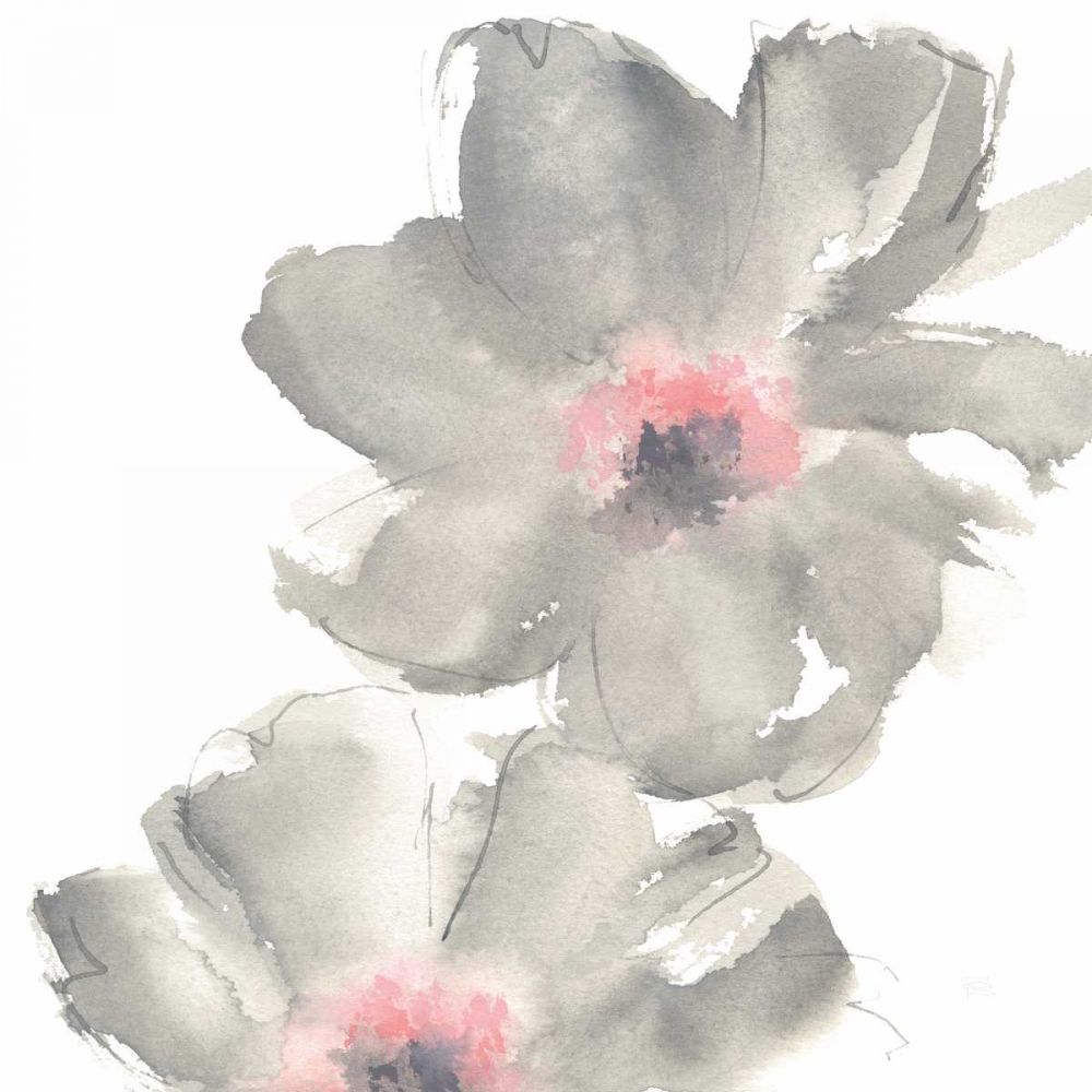 Gray Blush Cosmos II on White art print by Chris Paschke for $57.95 CAD