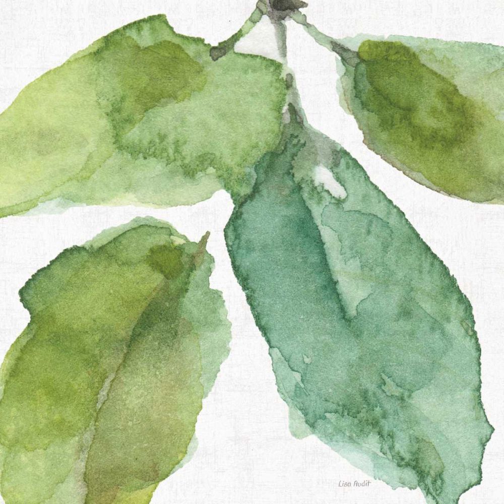 Blue and Green Garden VIII art print by Lisa Audit for $57.95 CAD