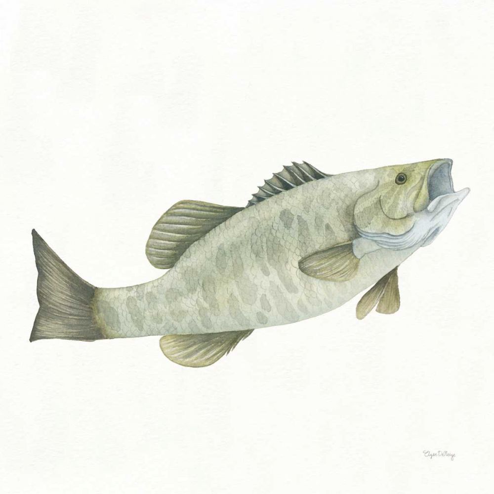 Gone Fishin Small Mouth art print by Elyse DeNeige for $57.95 CAD