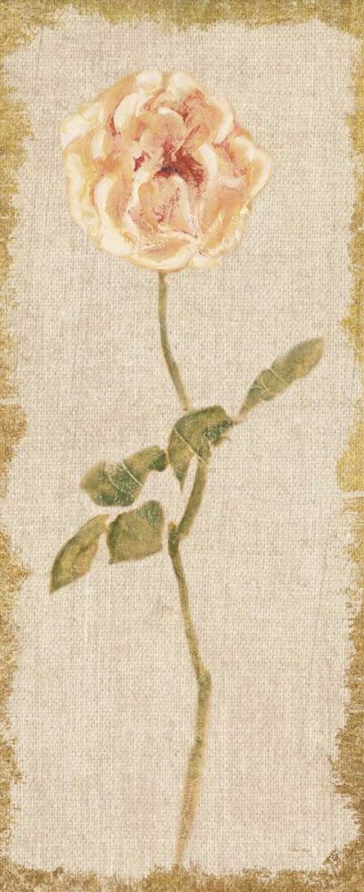 Pale Rose Panel on White Vintage v2 art print by Cheri Blum for $57.95 CAD