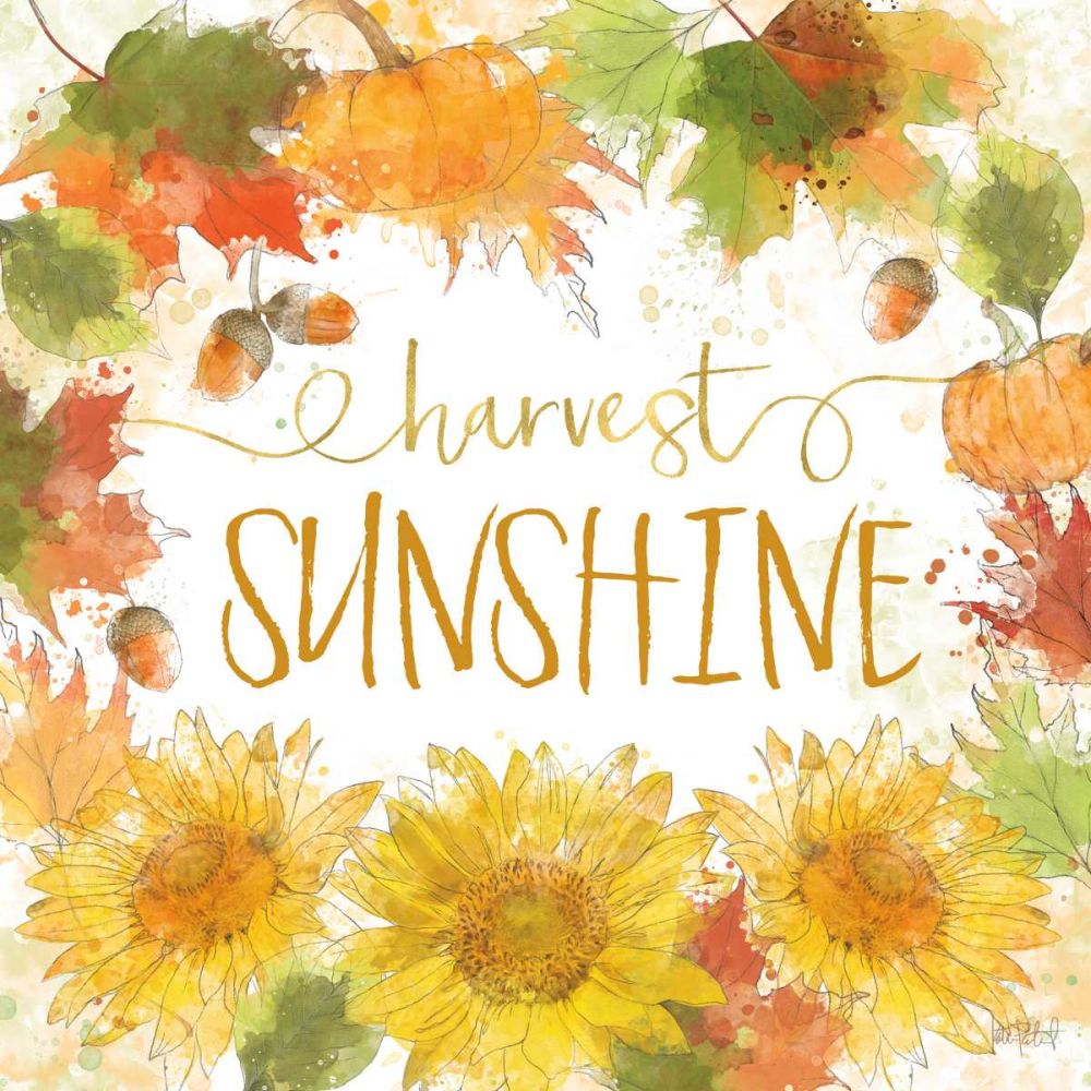 Harvest Splash III art print by Katie Pertiet for $57.95 CAD