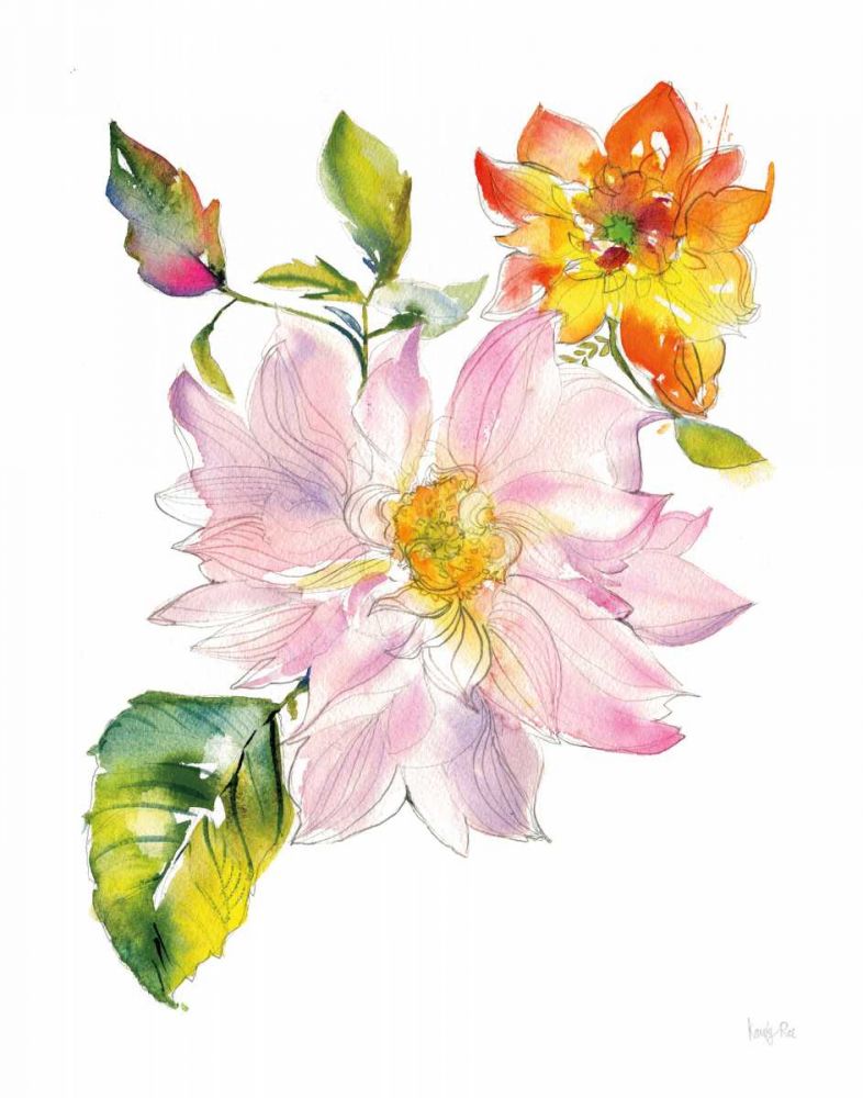 Dahlia Delight of the Day II art print by Kristy Rice for $57.95 CAD