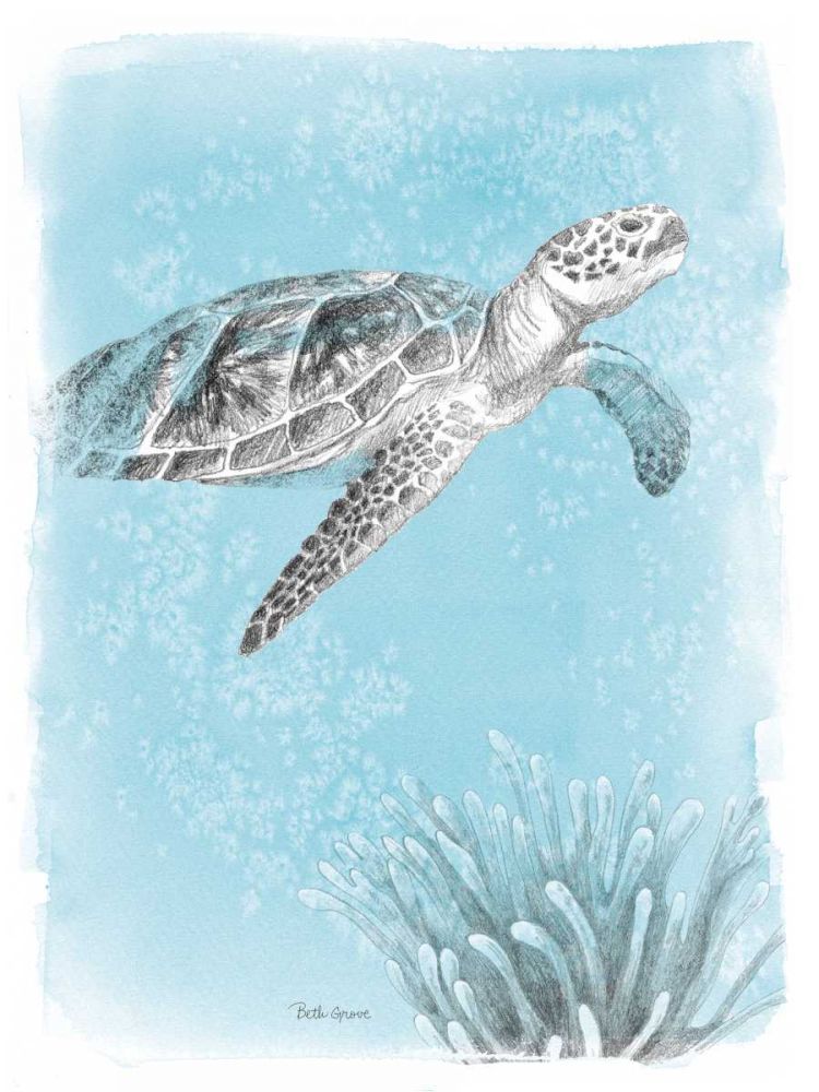 Coastal Sea Life I art print by Beth Grove for $57.95 CAD