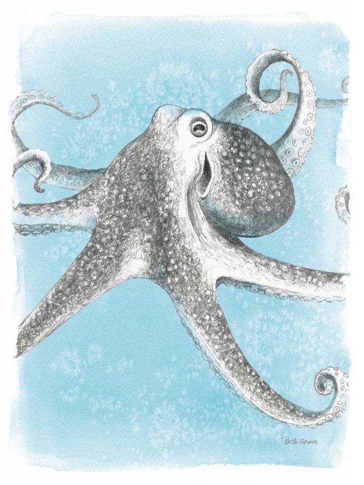 Coastal Sea Life II art print by Beth Grove for $57.95 CAD