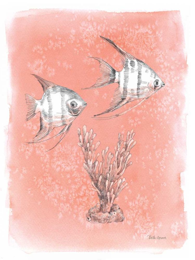 Coastal Sea Life III art print by Beth Grove for $57.95 CAD