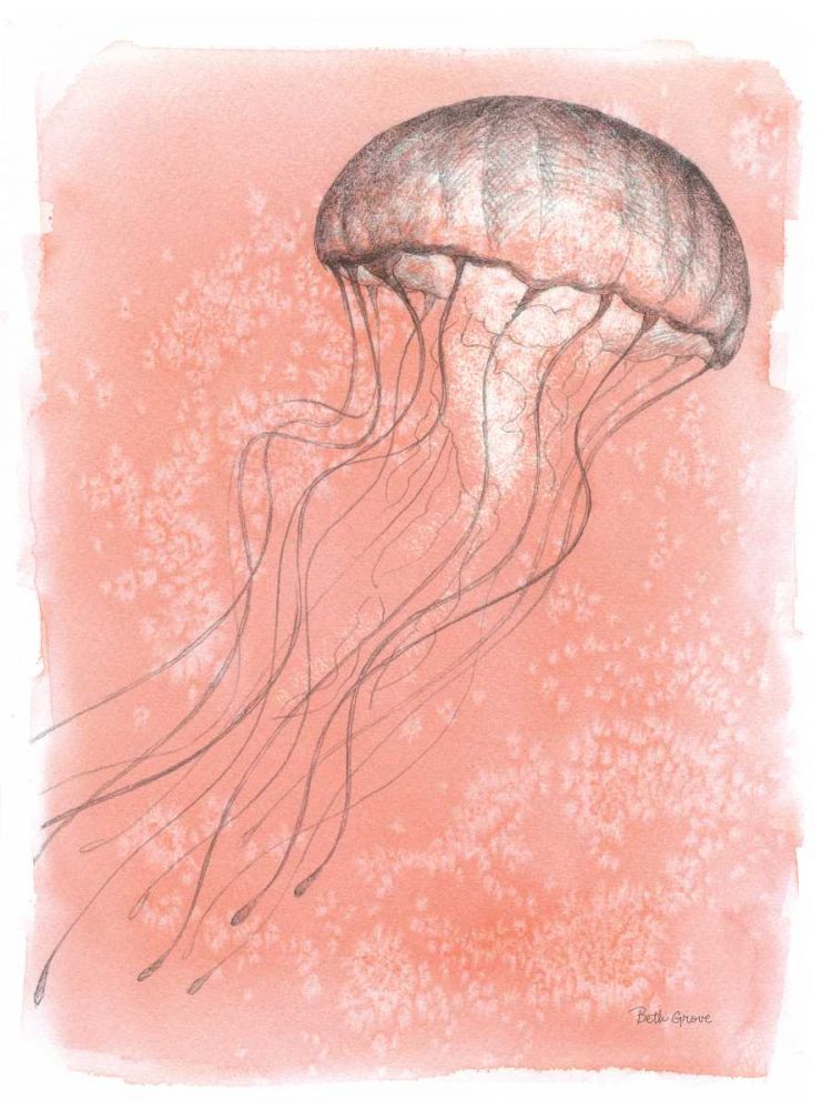 Coastal Sea Life IV art print by Beth Grove for $57.95 CAD