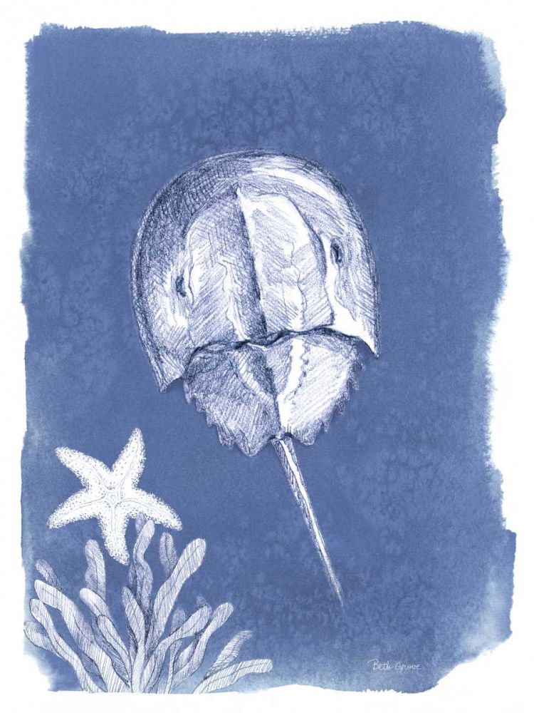 Coastal Sea Life VI art print by Beth Grove for $57.95 CAD