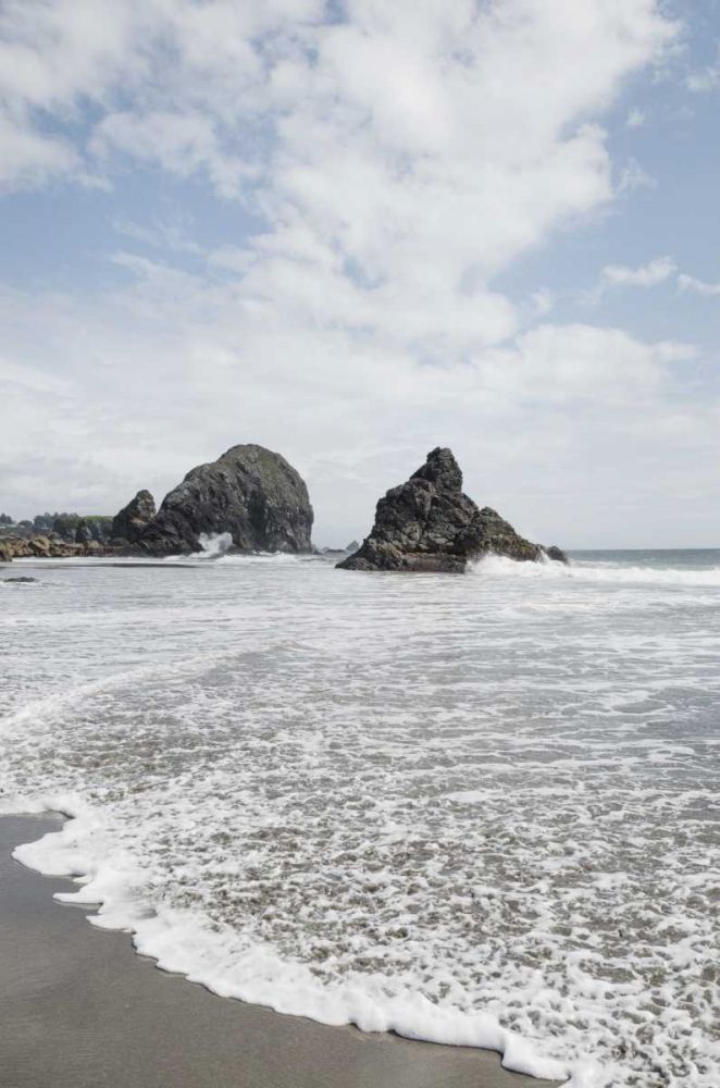 Harris Beach Oregon art print by Lisa Audit for $57.95 CAD