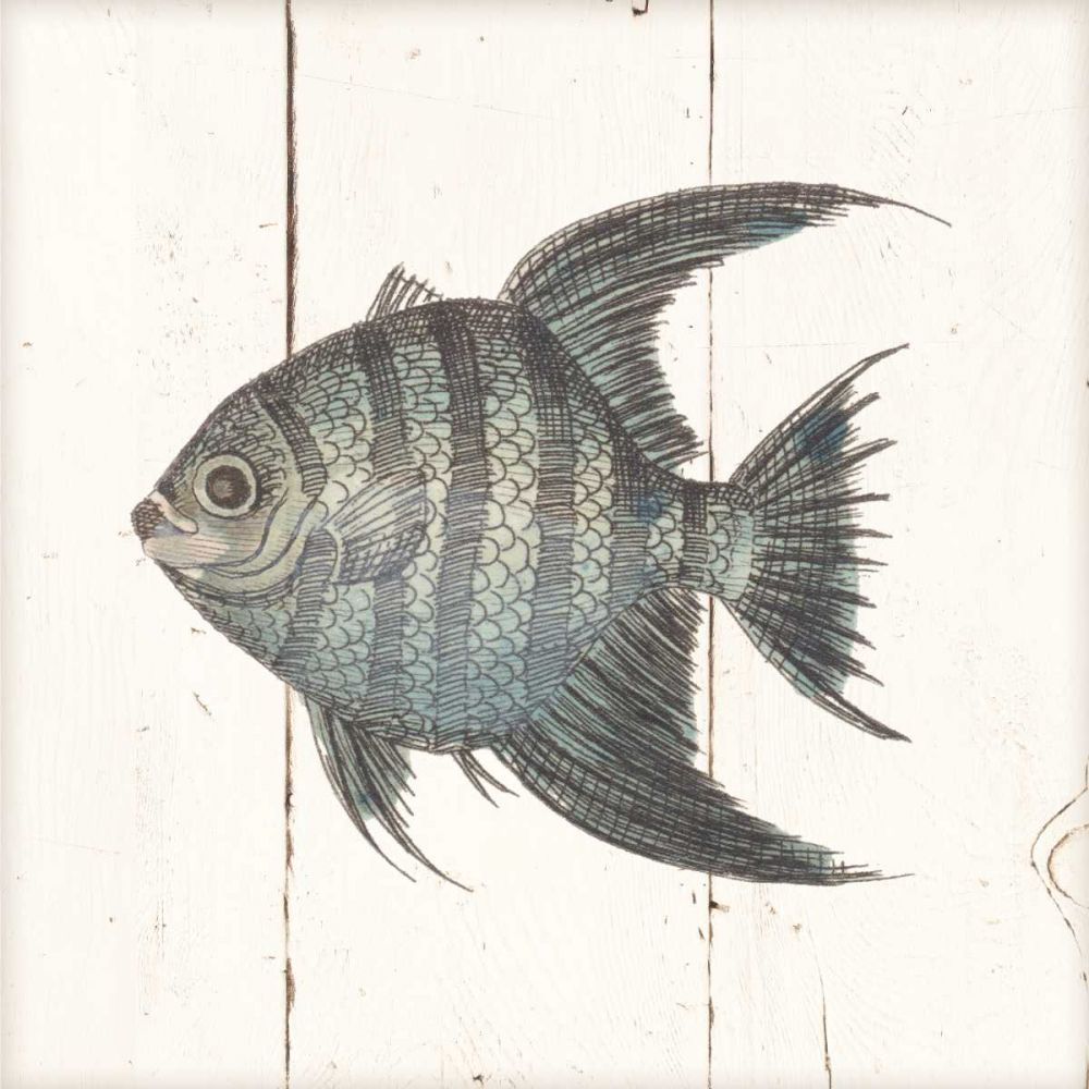 Fish Sketches II Shiplap art print by Wild Apple Portfolio for $57.95 CAD