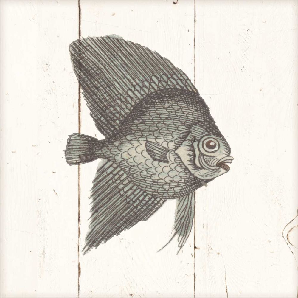 Fish Sketches III Shiplap art print by Wild Apple Portfolio for $57.95 CAD