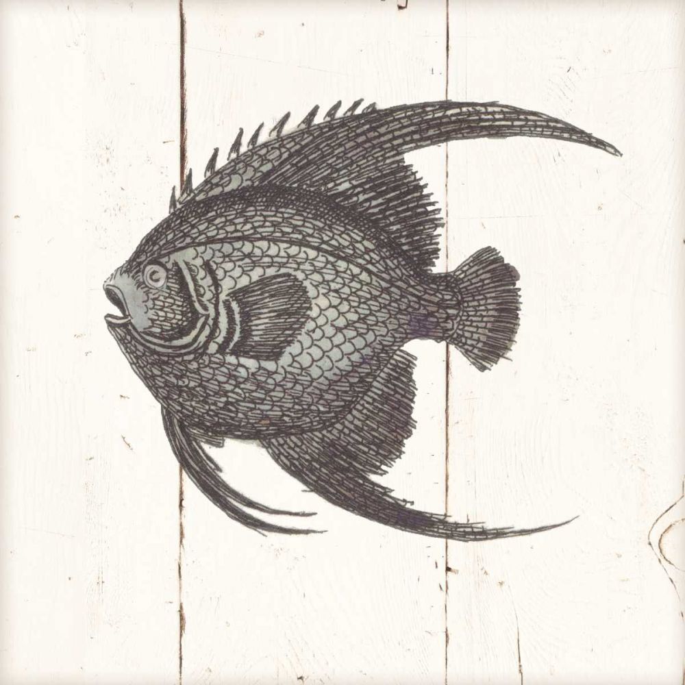 Fish Sketches IV Shiplap art print by Wild Apple Portfolio for $57.95 CAD