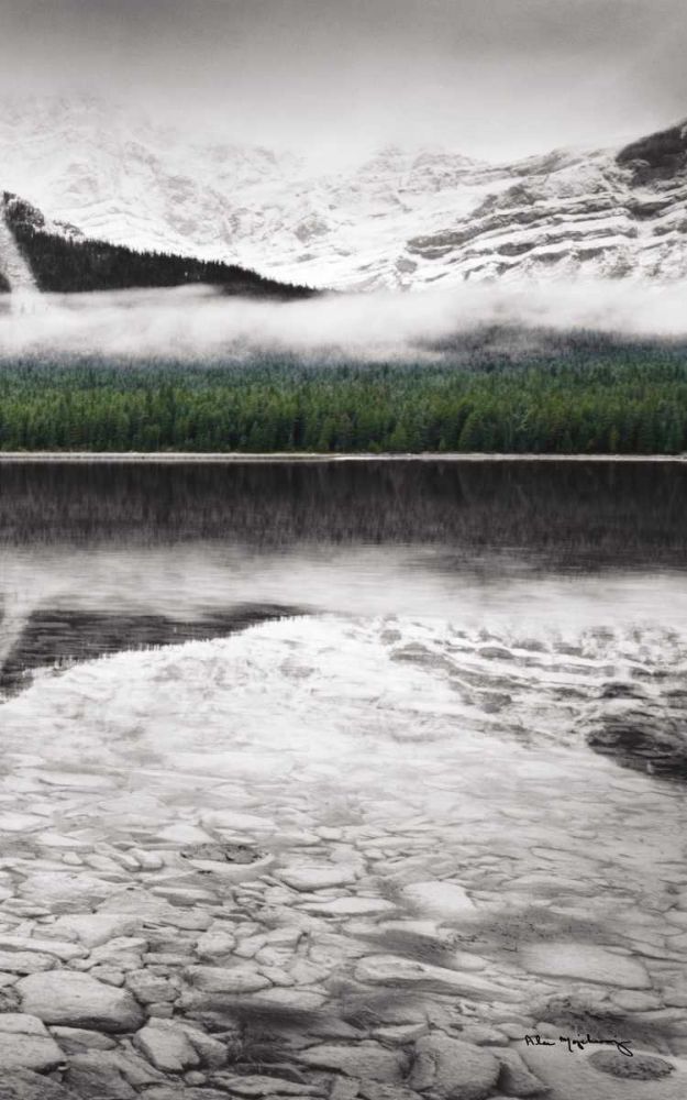 Waterfowl Lake Panel III BW with Color art print by Lisa Audit for $57.95 CAD