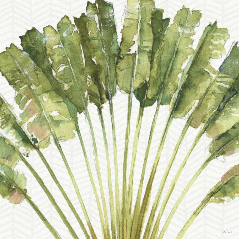 Mixed Greens VIII art print by Lisa Audit for $57.95 CAD