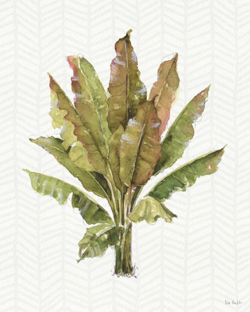 Mixed Greens IX art print by Lisa Audit for $57.95 CAD