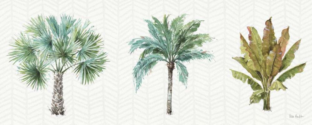 Mixed Greens XV art print by Lisa Audit for $57.95 CAD