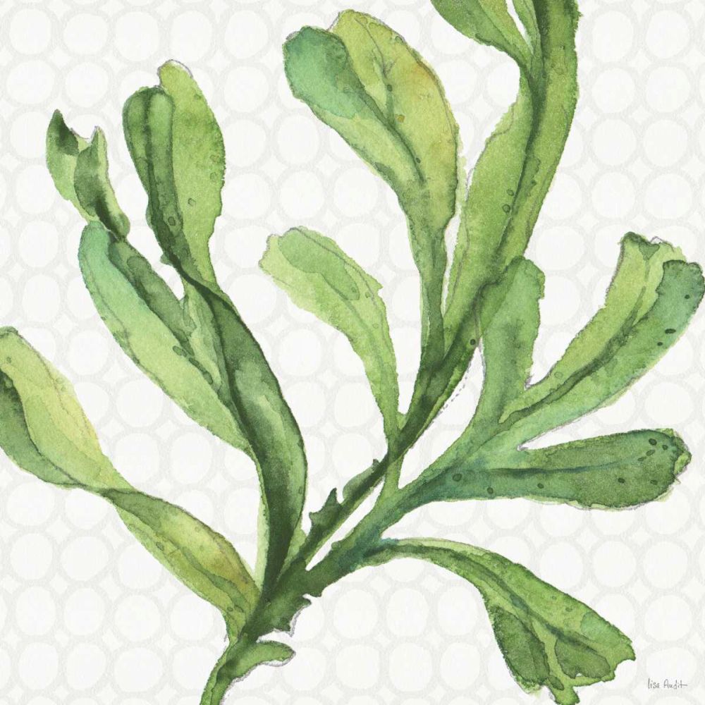 Mixed Greens XIX art print by Lisa Audit for $57.95 CAD