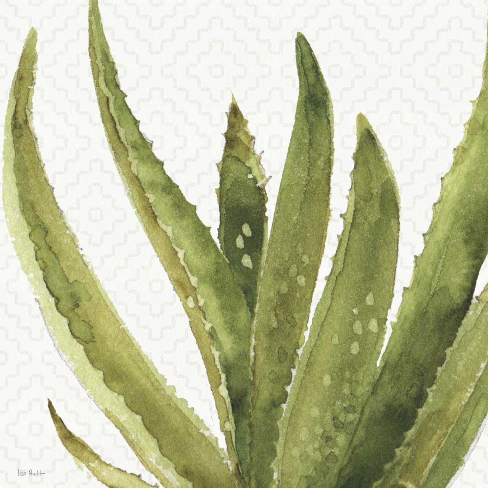 Mixed Greens XXXVIII art print by Lisa Audit for $57.95 CAD
