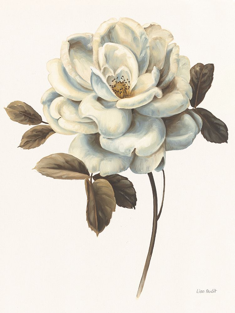 Floral Bliss Rose II art print by Lisa Audit for $57.95 CAD
