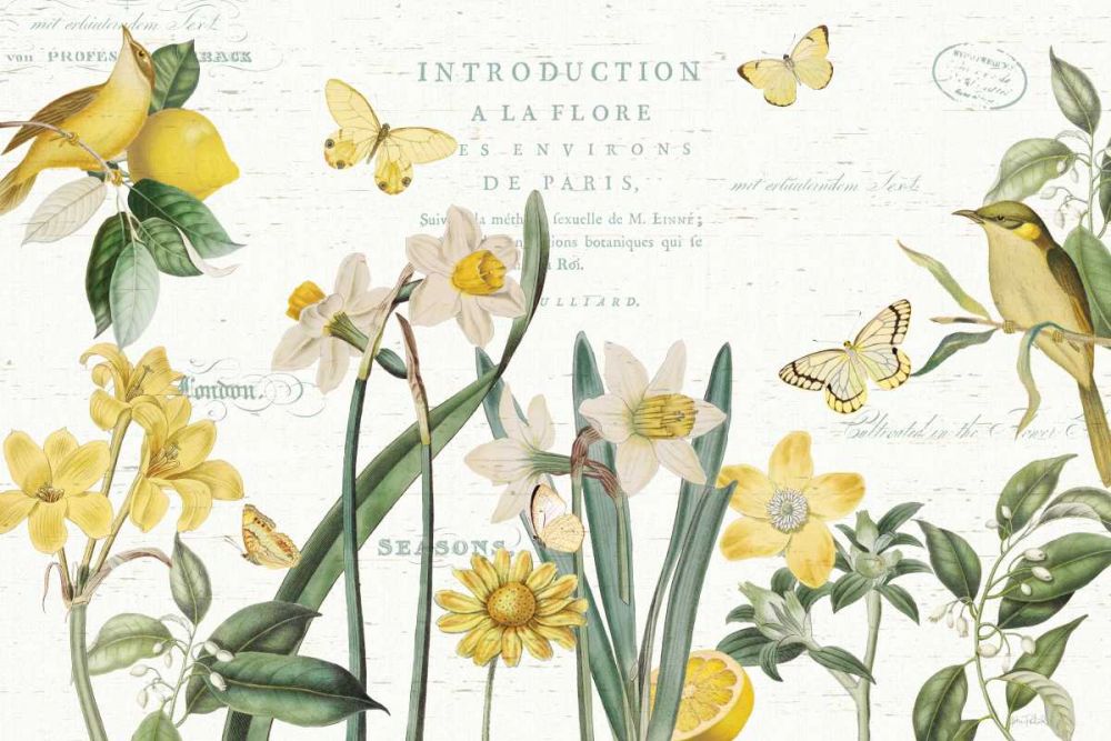 Citron Curiosities I art print by Katie Pertiet for $57.95 CAD