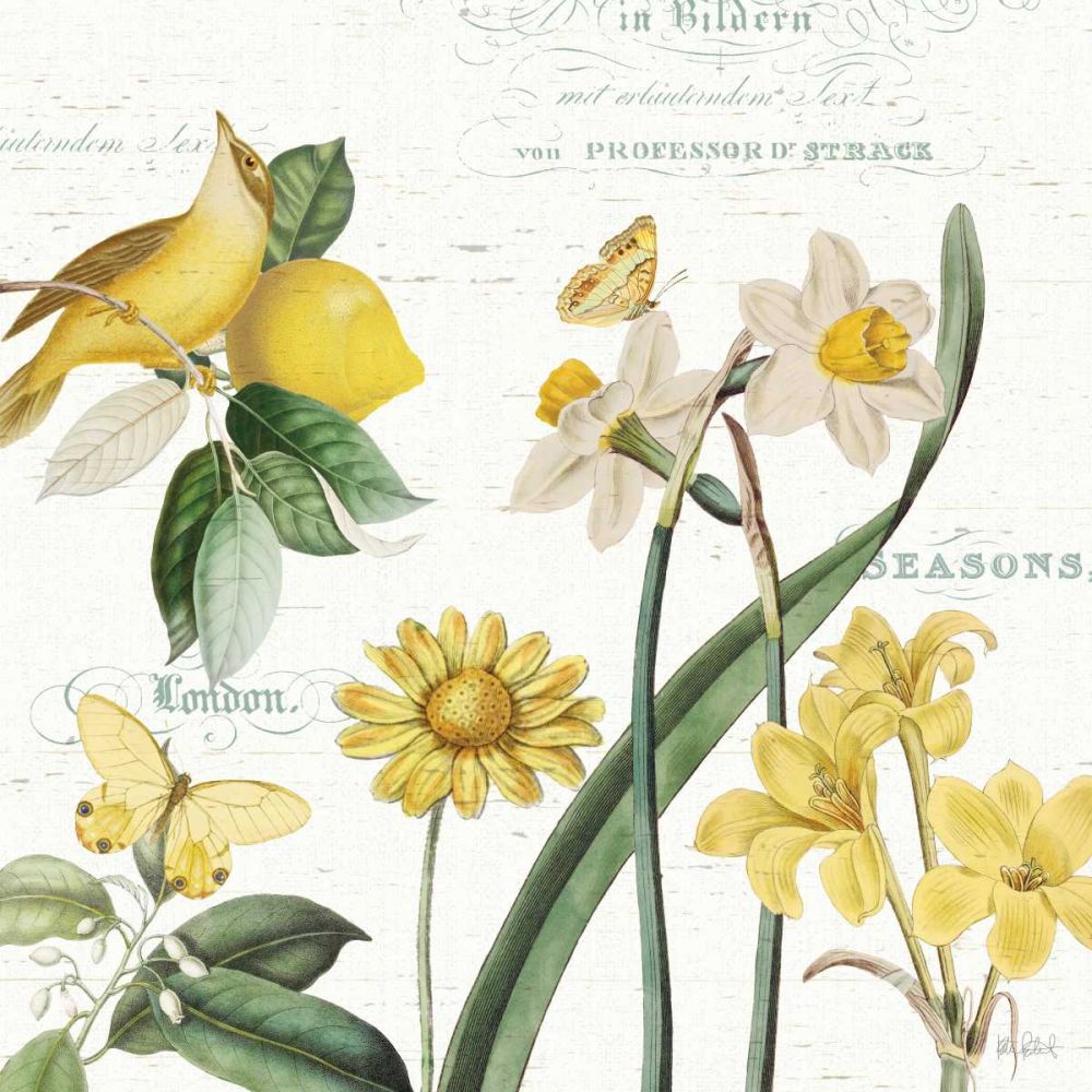Citron Curiosities II art print by Katie Pertiet for $57.95 CAD