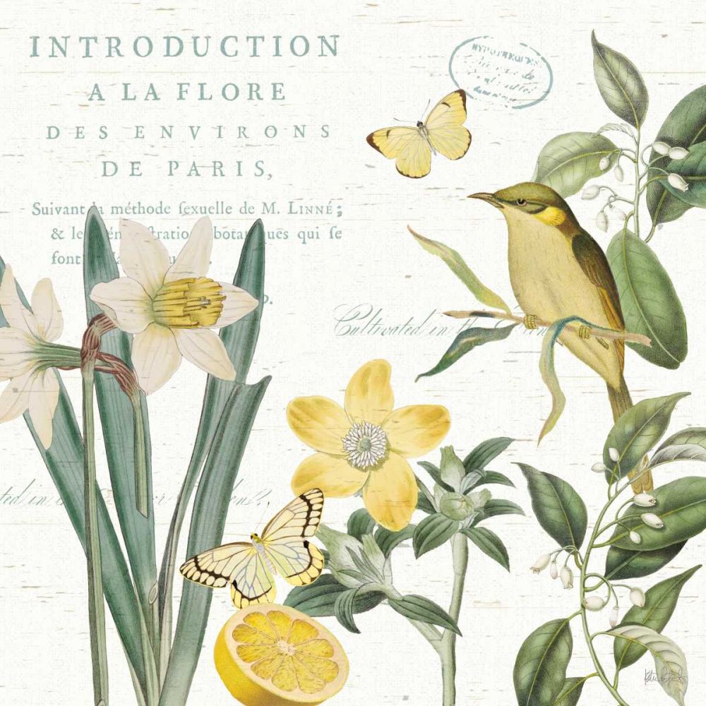 Citron Curiosities III art print by Katie Pertiet for $57.95 CAD