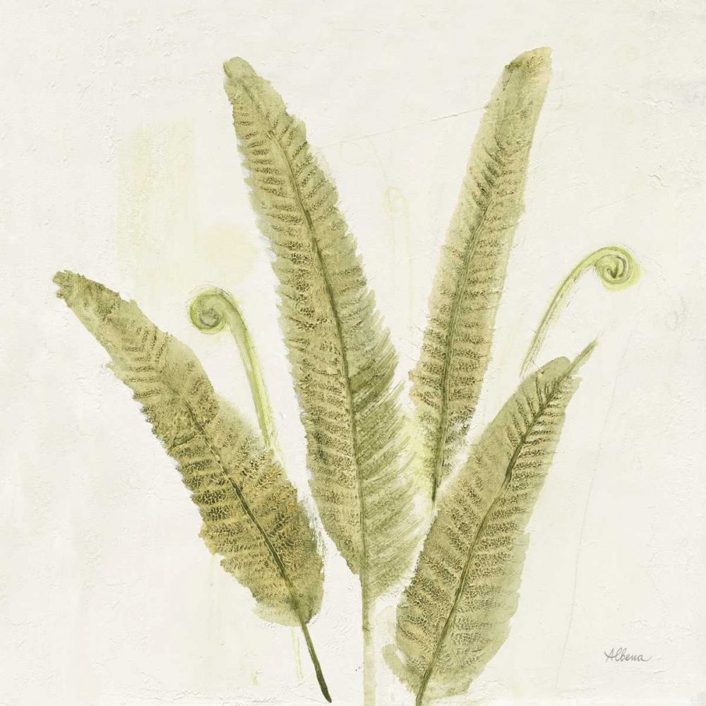 Forest Ferns II v2 art print by Albena Hristova for $57.95 CAD