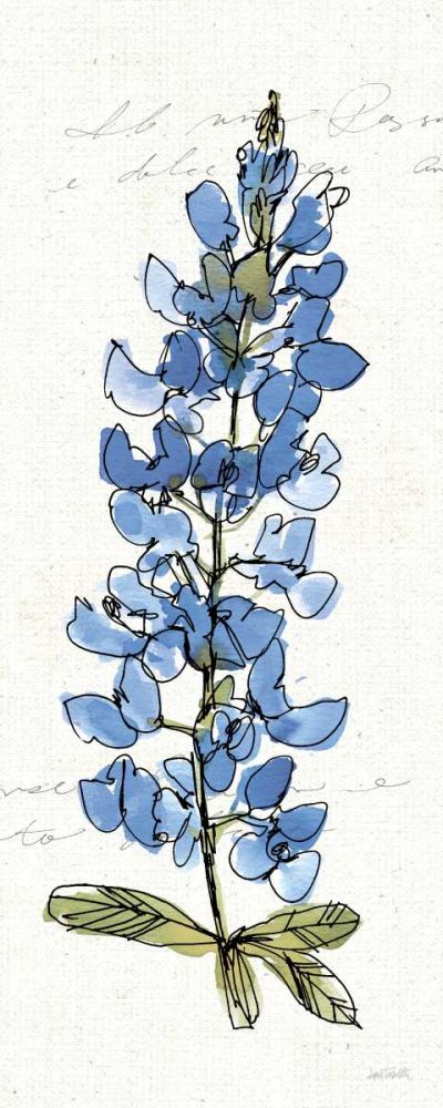 Texas Bluebonnet III art print by Anne Tavoletti for $57.95 CAD