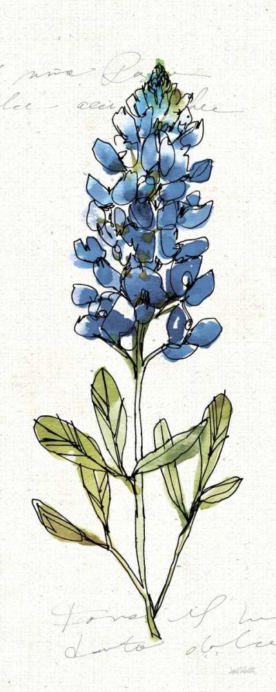 Texas Bluebonnet IV art print by Anne Tavoletti for $57.95 CAD