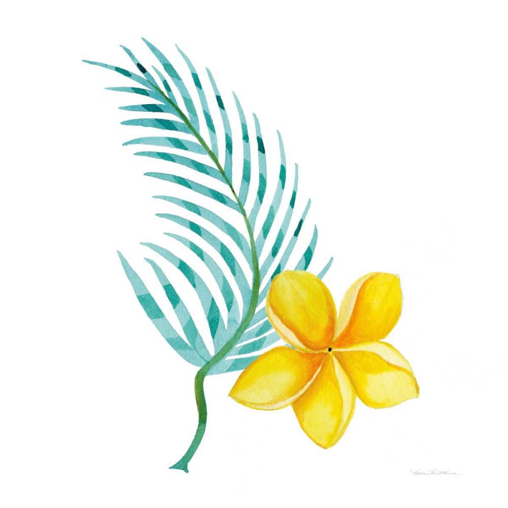 Treasures of the Tropics IX art print by Kathleen Parr McKenna for $57.95 CAD