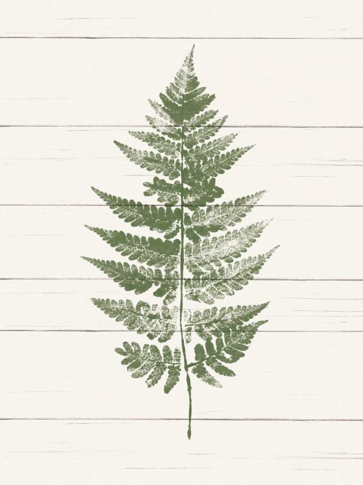 Fern Print I art print by Moira Hershey for $57.95 CAD