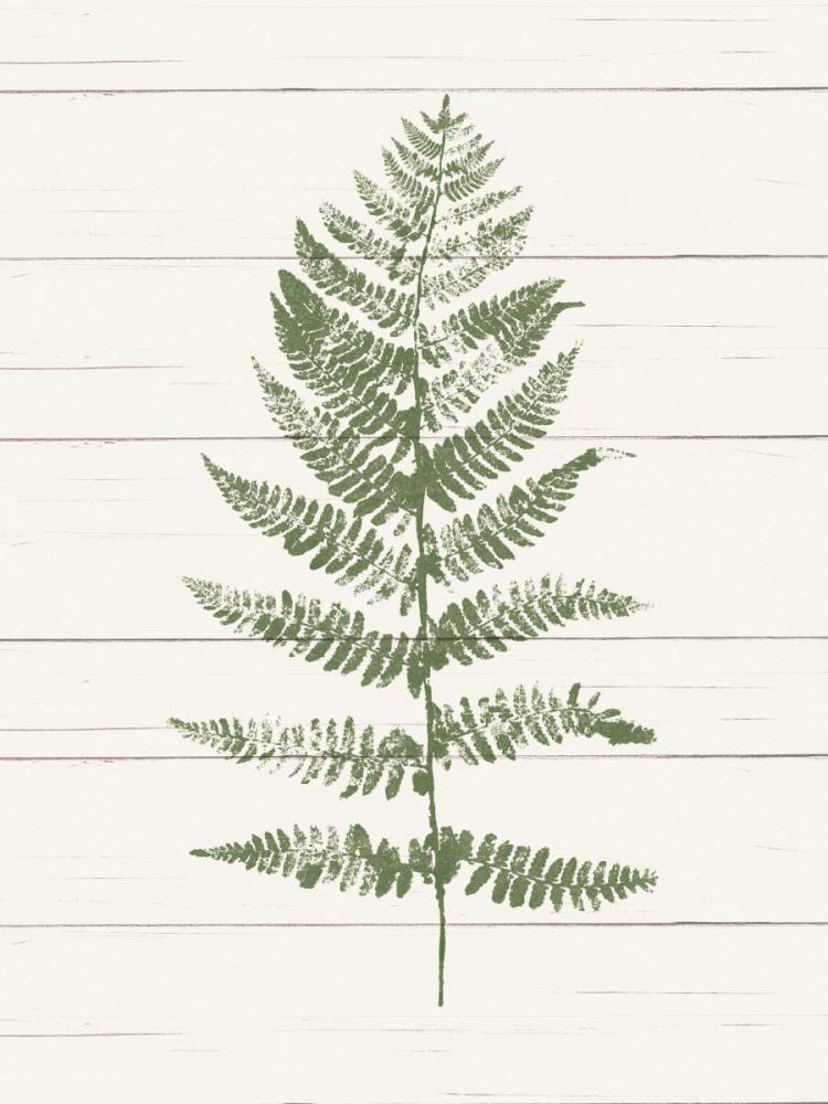 Fern Print II art print by Moira Hershey for $57.95 CAD