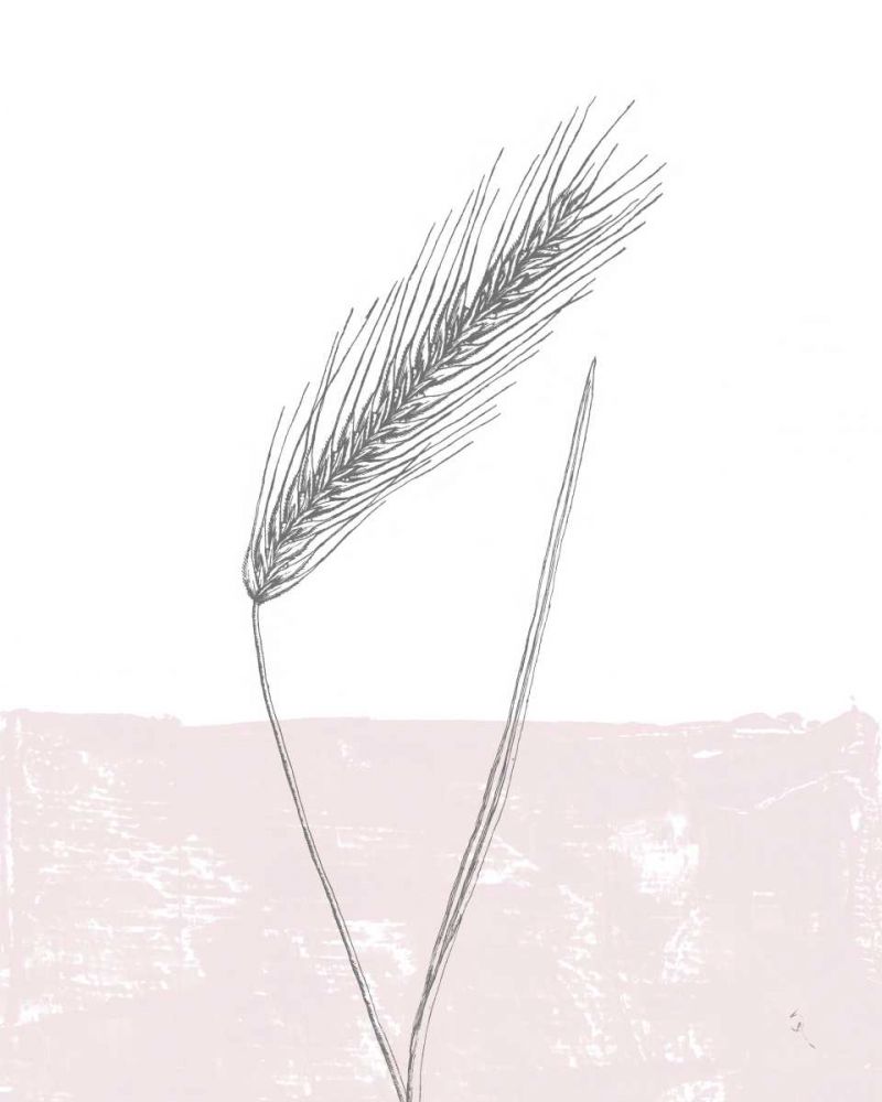 Rye art print by Sarah Adams for $57.95 CAD