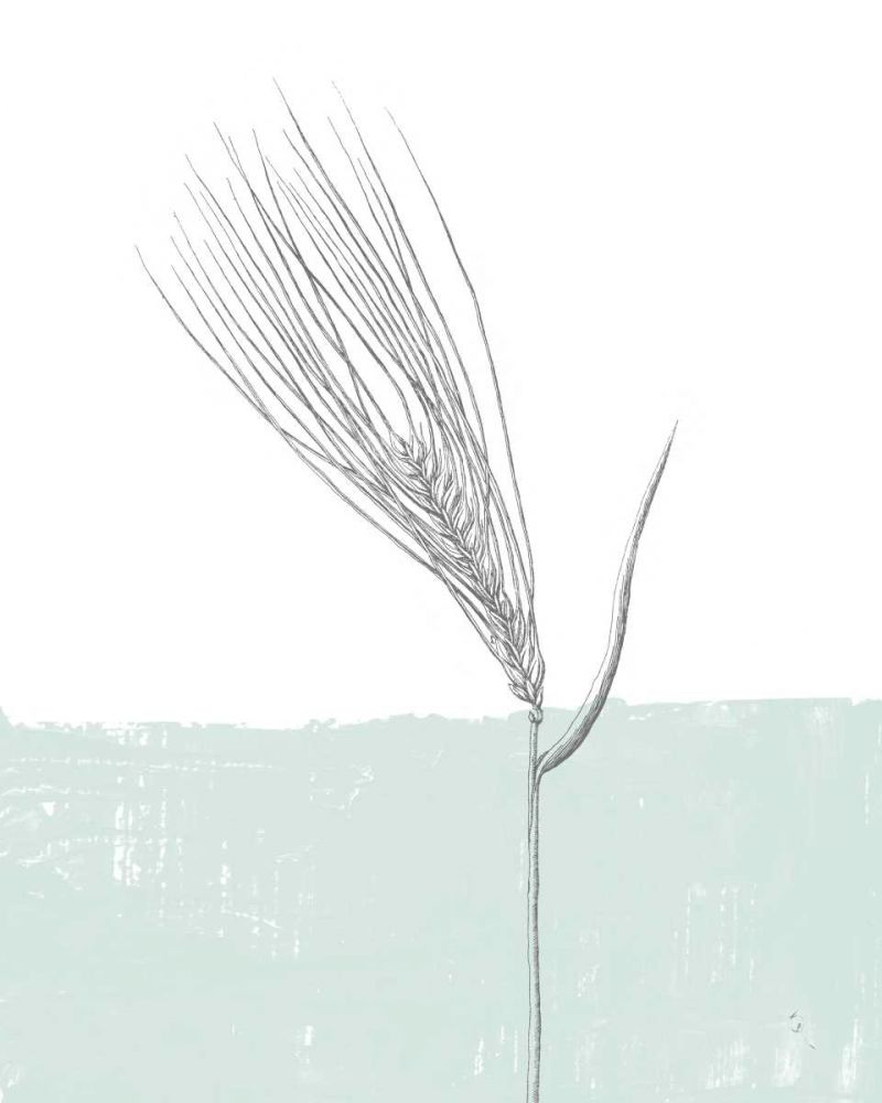 Barley art print by Sarah Adams for $57.95 CAD