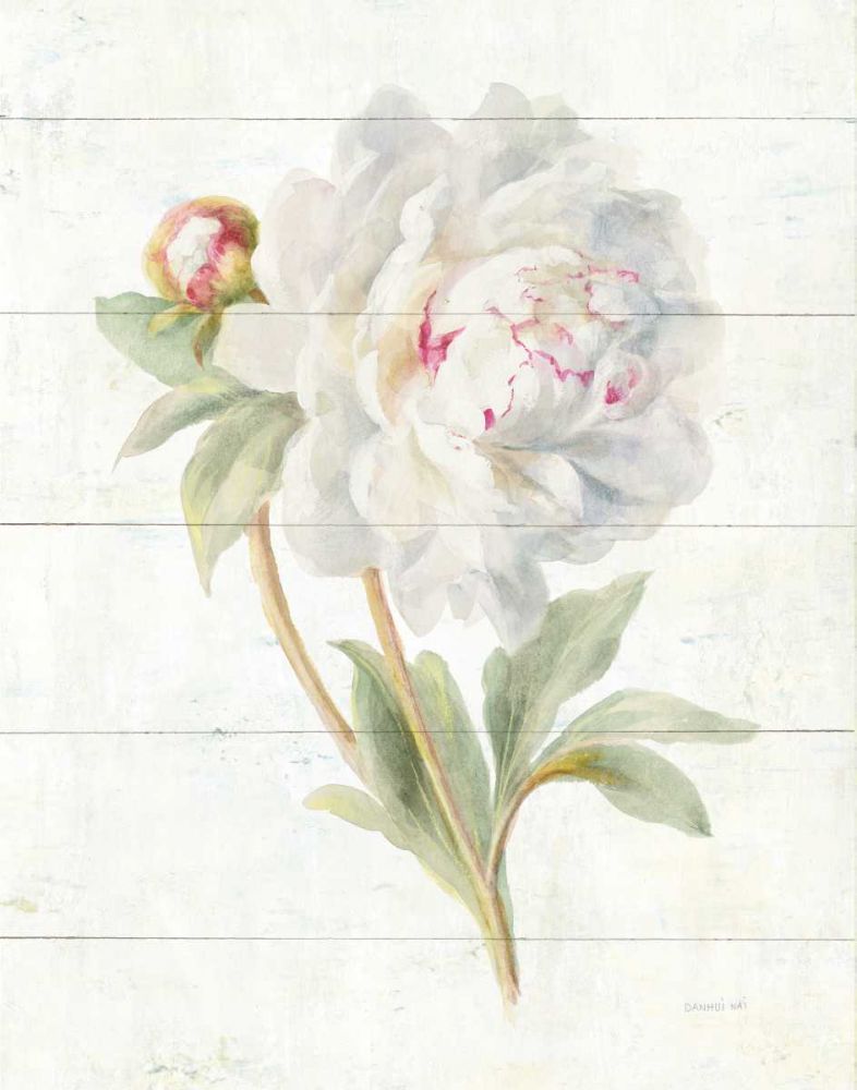 June Blooms II art print by Danhui Nai for $57.95 CAD