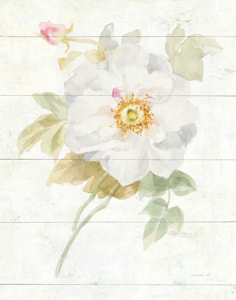 June Blooms III art print by Danhui Nai for $57.95 CAD