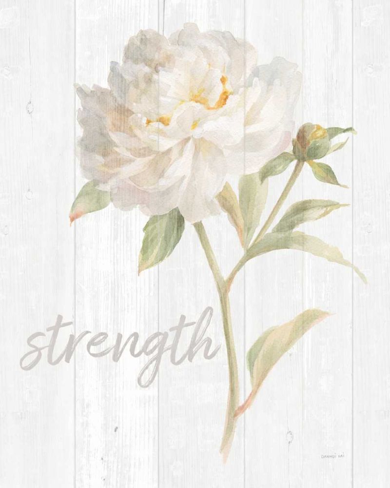 Garden Peony on Wood Strength art print by Danhui Nai for $57.95 CAD