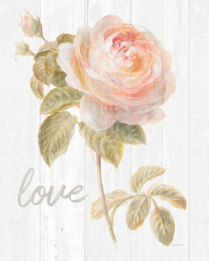 Garden Rose on Wood Love art print by Danhui Nai for $57.95 CAD