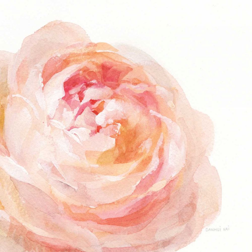Garden Rose on White Crop art print by Danhui Nai for $57.95 CAD