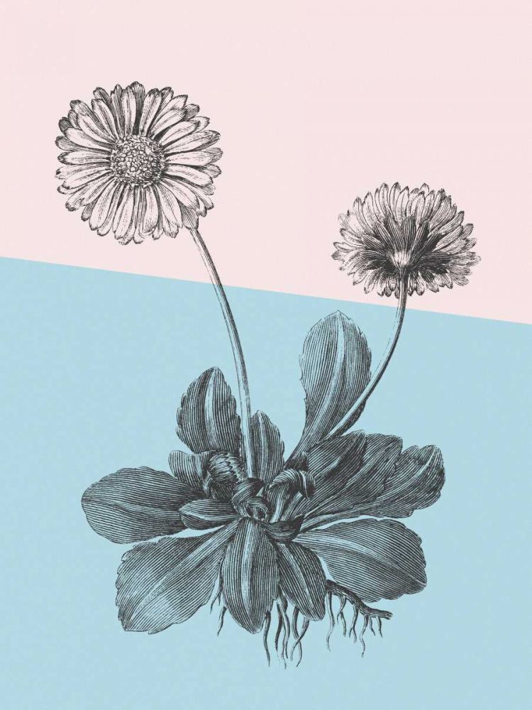 Conversations on Botany IX Color Block art print by Wild Apple Portfolio for $57.95 CAD