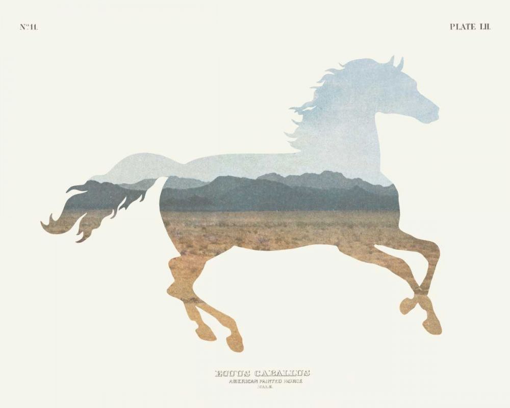 American Southwest Horse art print by Wild Apple Portfolio for $57.95 CAD