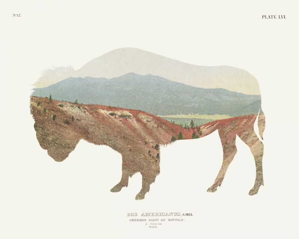 American Southwest Buffalo art print by Wild Apple Portfolio for $57.95 CAD