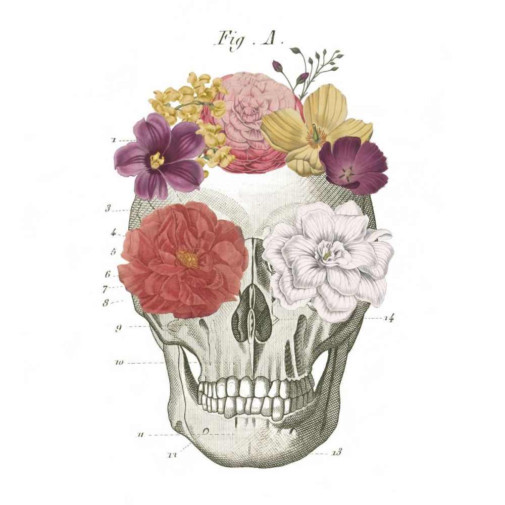 Floral Skull I art print by Wild Apple Portfolio for $57.95 CAD