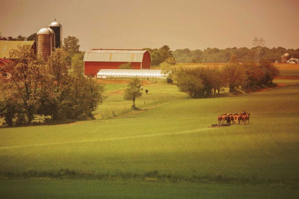 Fall Farm art print by Aledanda for $57.95 CAD